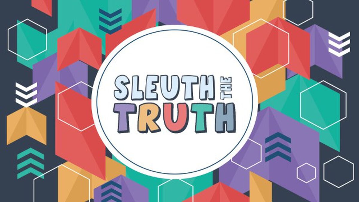 Sleuth the Truth image number null